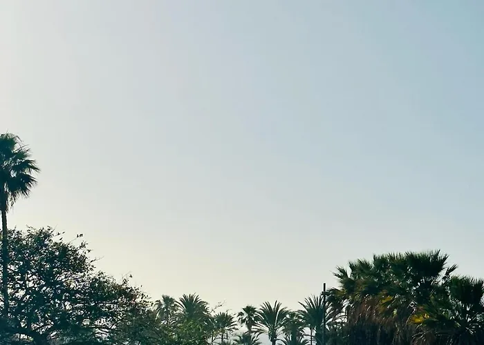 公寓 Sunny Sea View Center Of Americas *