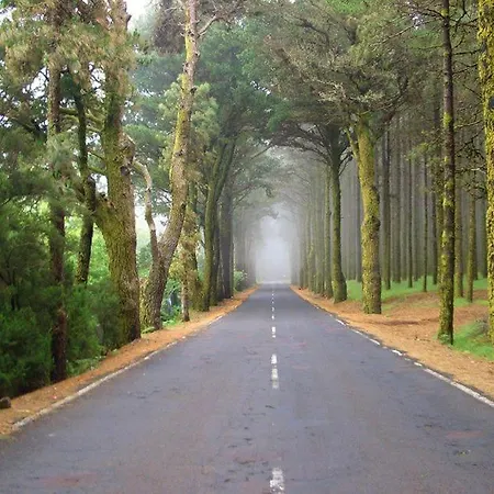 아파트 Sunny Sea View Center Of Americas *