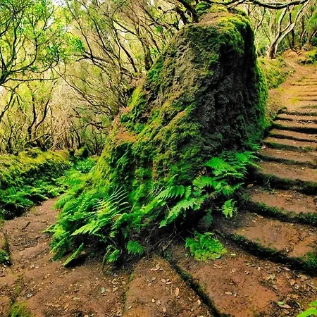 Διαμέρισμα Sunny Sea View Center Of Americas