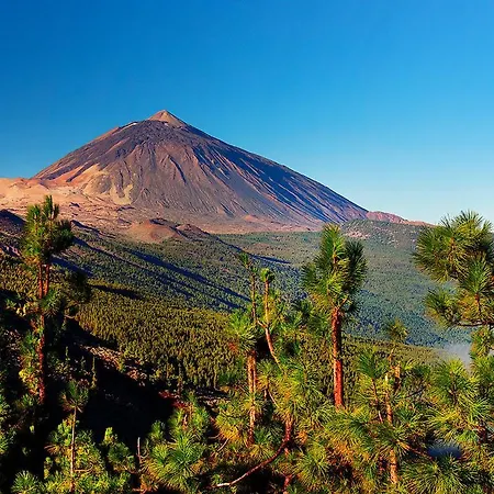 Διαμέρισμα Sunny Sea View Center Of Americas *