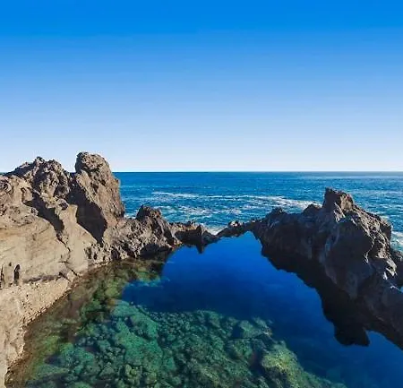 Sunny Sea View Center Of Americas *