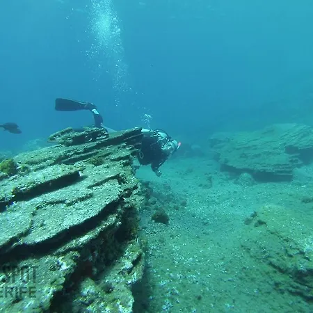 Sunny Sea View Center Of Americas