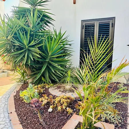 Sunny Sea View Center Of Americas Πλάγια ντε λας Αμέρικας