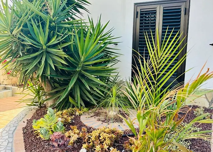 Sunny Sea View Center Of Americas Playa de las Américas