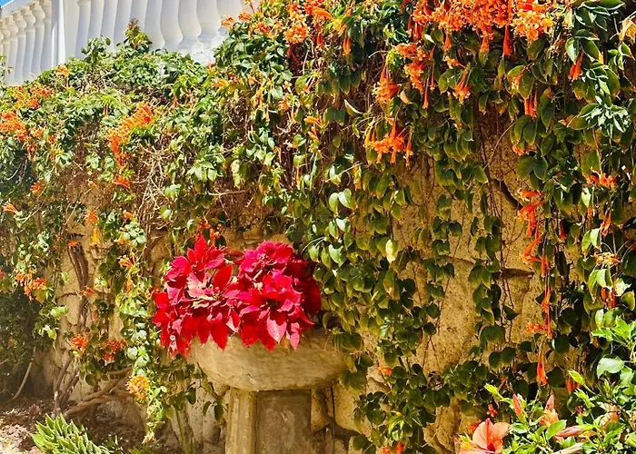 Sunny Sea View Center Of Americas Appartement Playa de las Américas